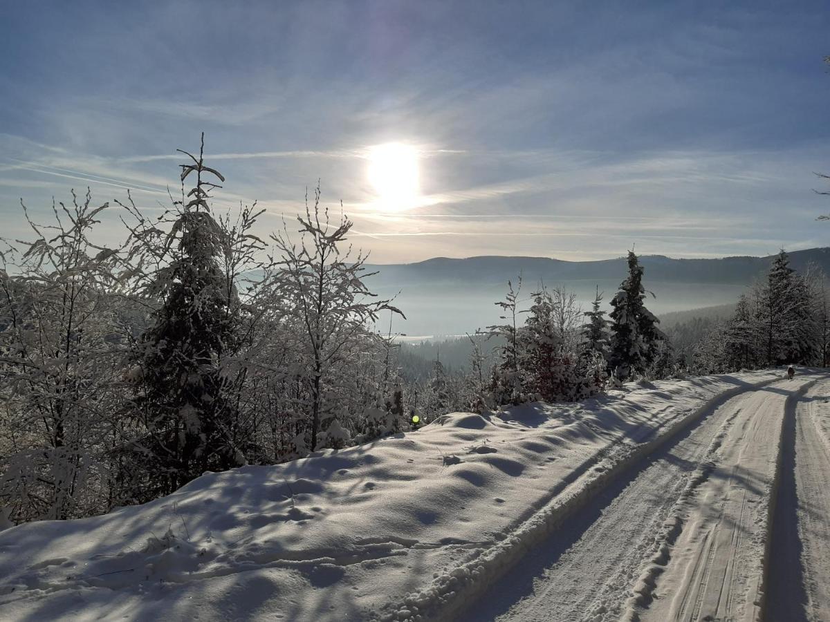 Chata Nova Seninka Stare Mesto  Luaran gambar