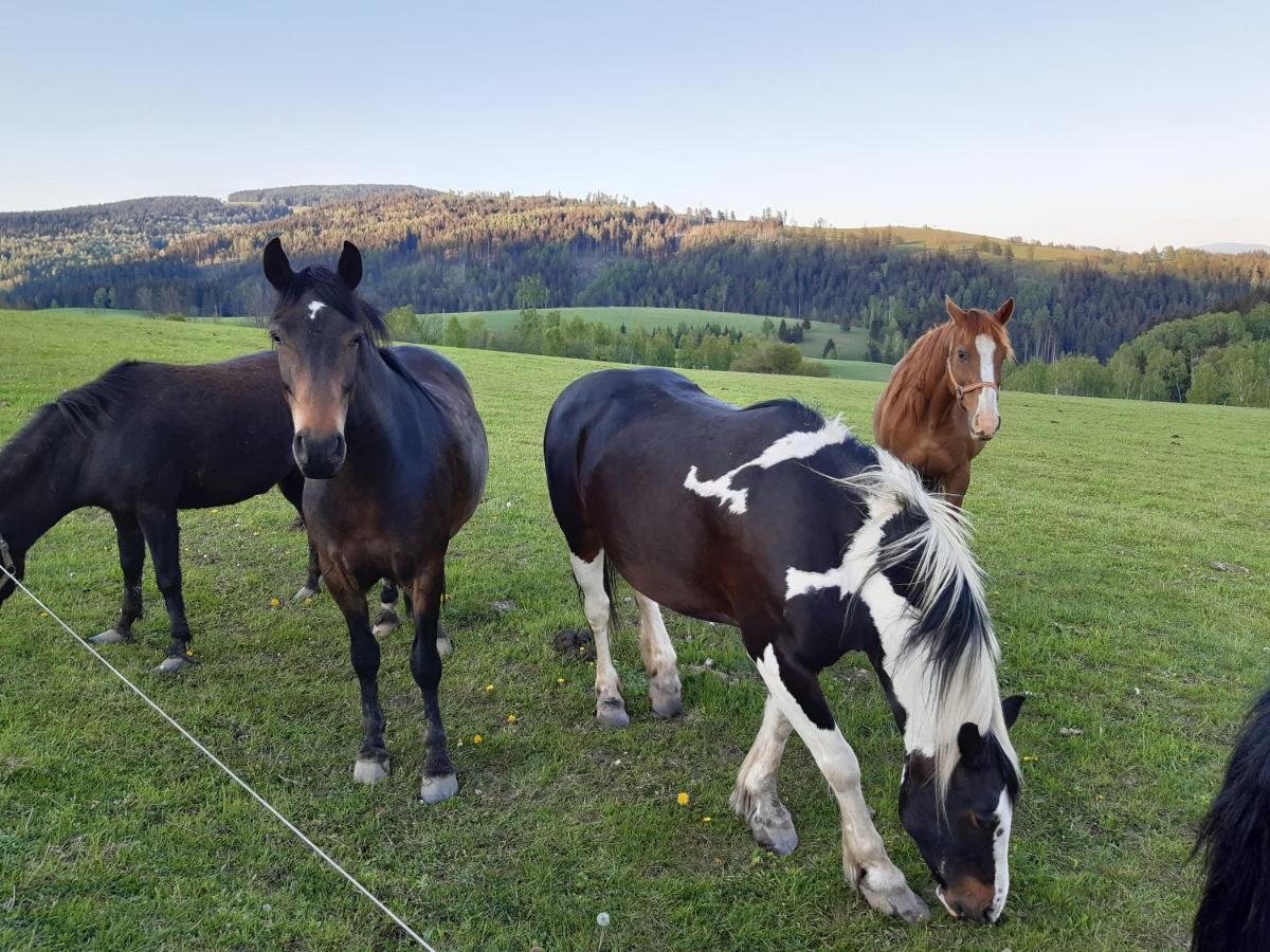 Chata Nova Seninka Stare Mesto  Luaran gambar